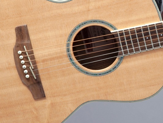 Takamine GY51E Natural