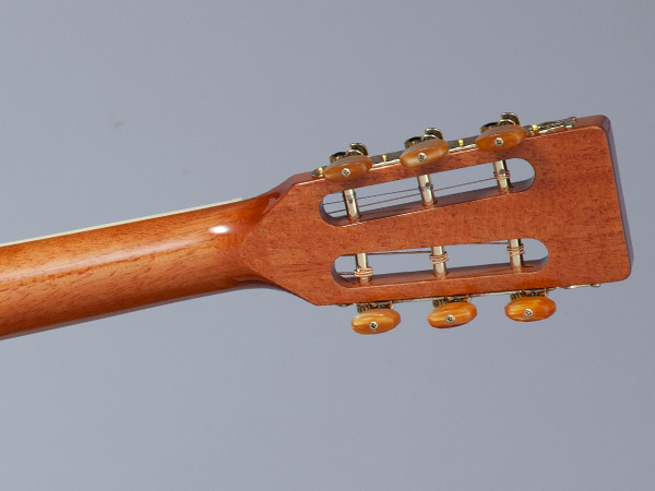 Takamine GY51E Natural