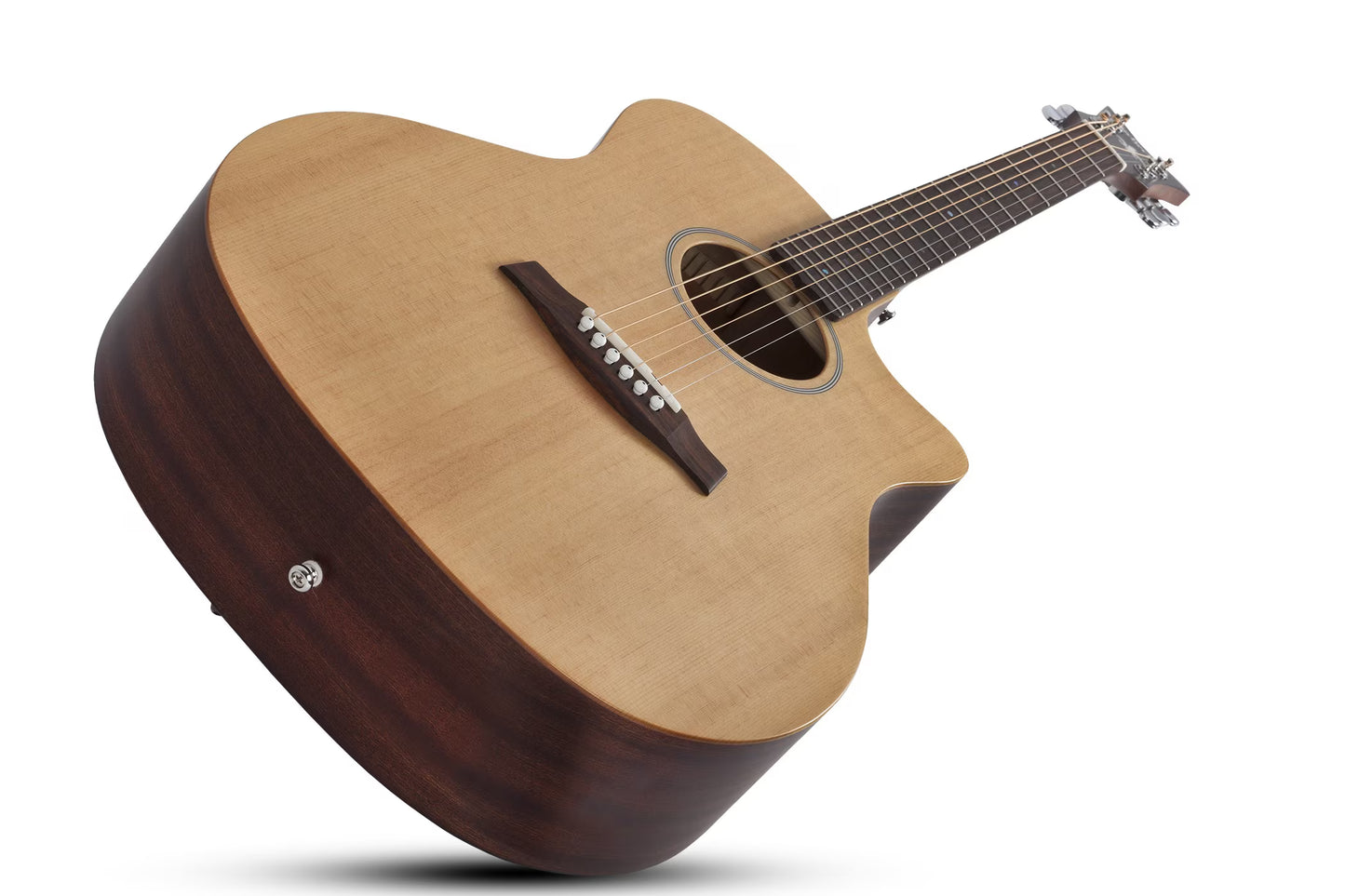 Schecter Deluxe Acoustic
