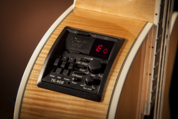 Takamine GB72CE Bass Guitar Natural
