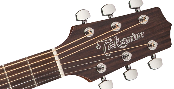 Takamine GD20 Natural Satin