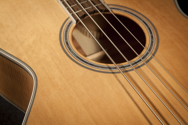 Takamine GB72CE Bass Guitar Natural