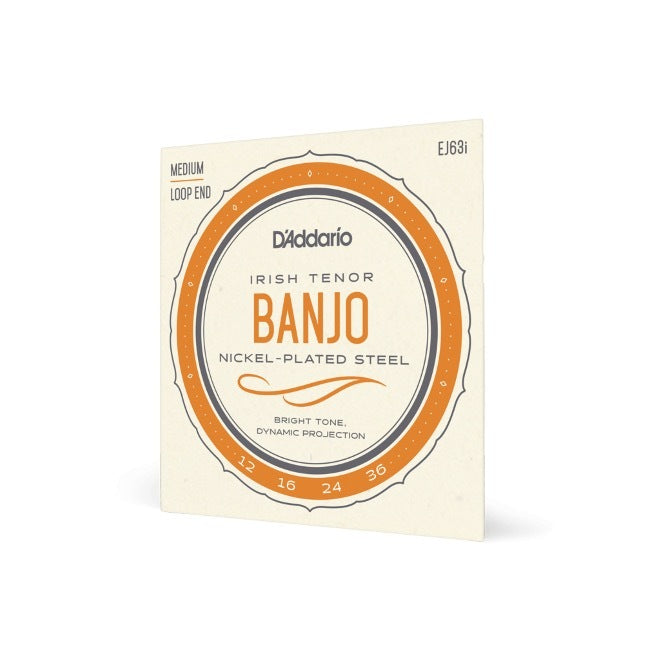 D'Addario EJ63i Irish Tenor Banjo Strings, Nickel, 12-36