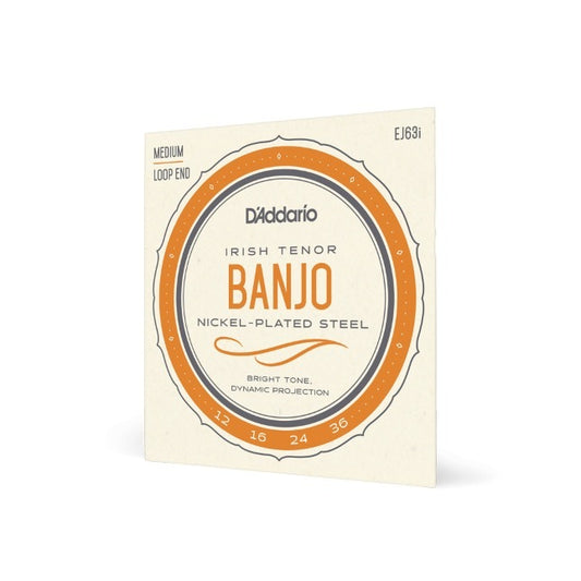 D'Addario EJ63i Irish Tenor Banjo Strings, Nickel, 12-36