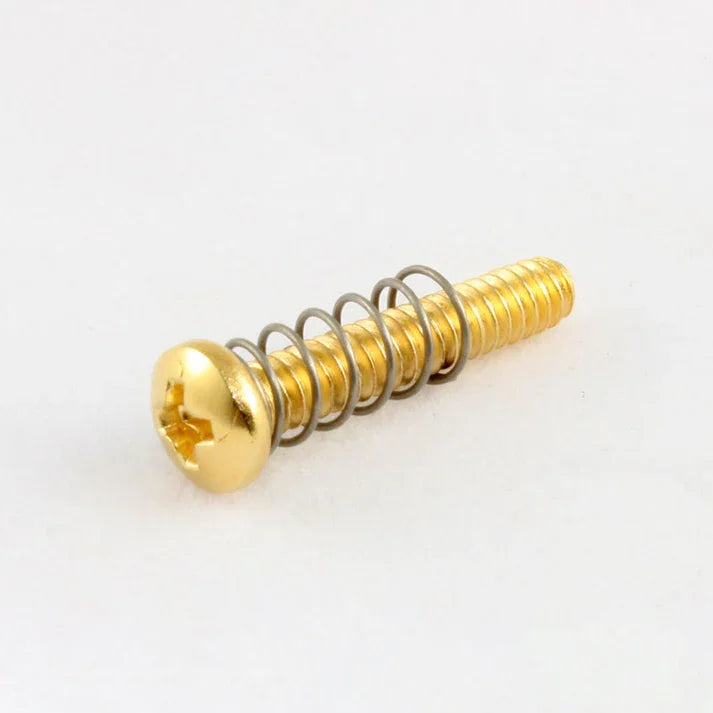 Pack Of 6 Gold Bridge Length Screws