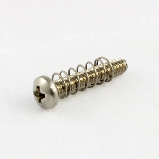 Pack Of 6 Steel Bridge Length Screws