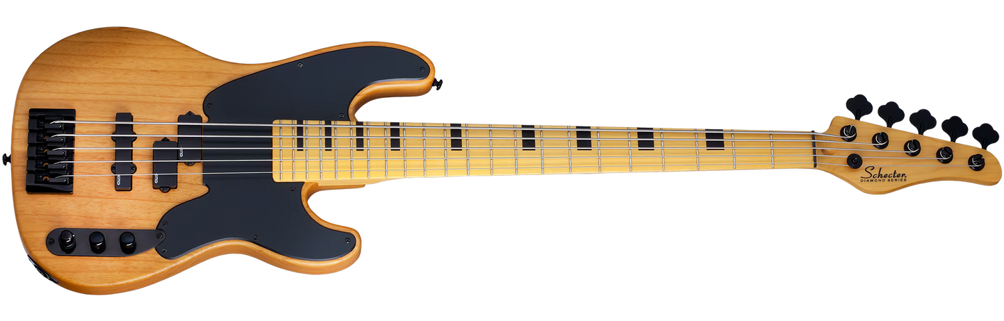 Schecter Model-T Session-5