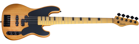 Schecter Model-T Session-5