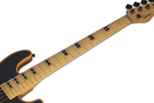 Schecter Model-T Session-5