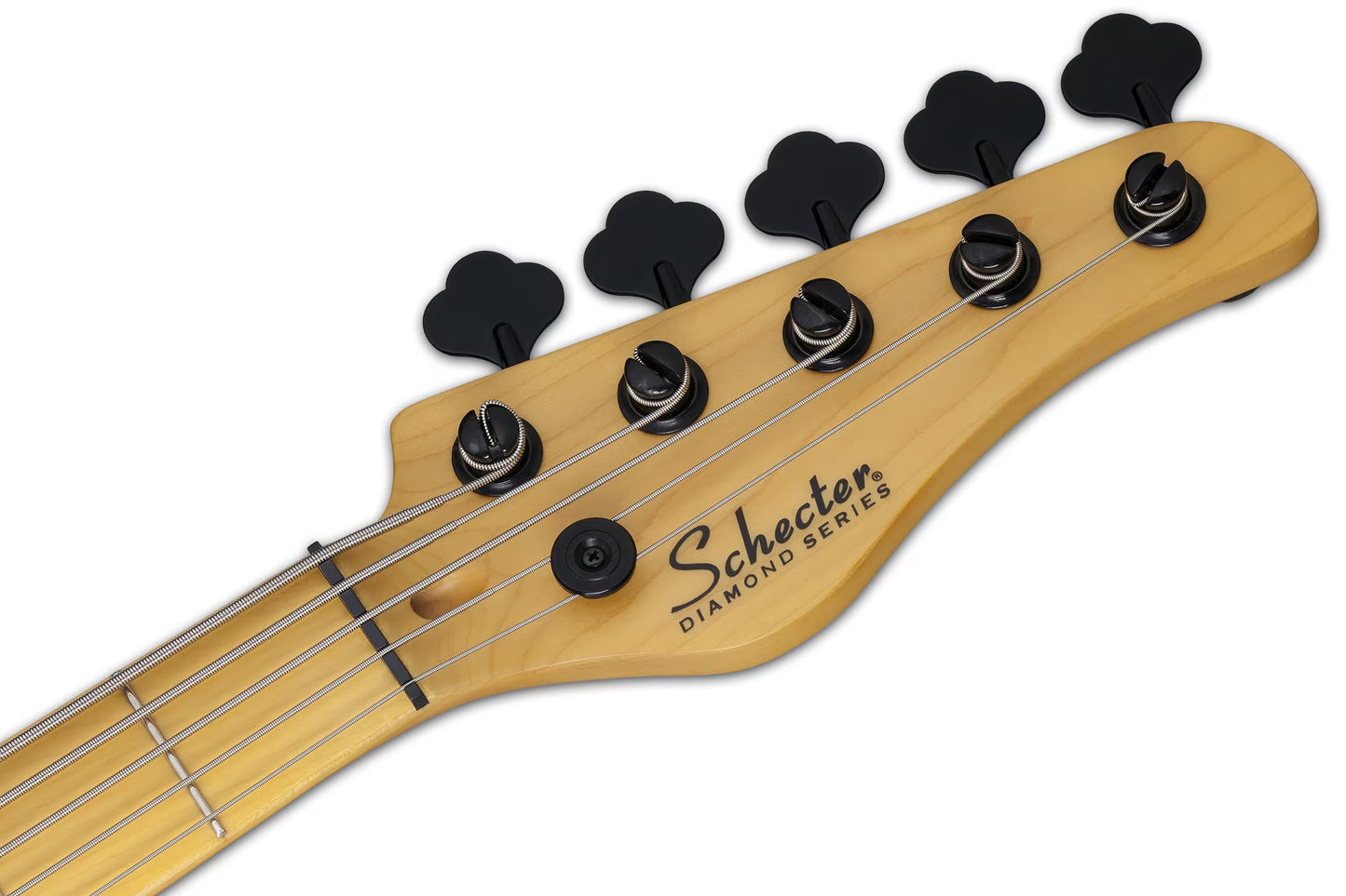Schecter Model-T Session-5