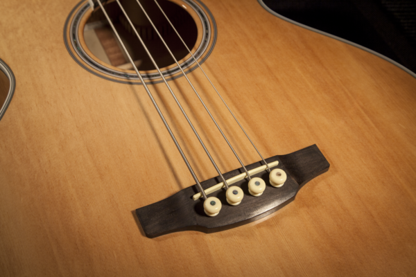 Takamine GB72CE Bass Guitar Natural
