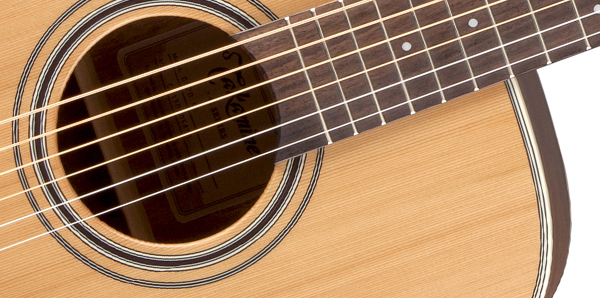 Takamine GD20 Natural Satin
