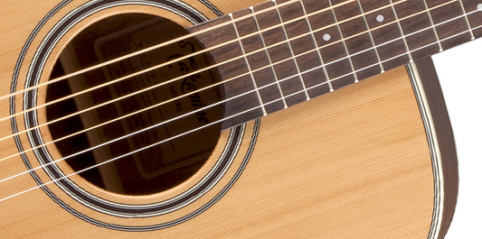 Takamine GD20 Natural Satin
