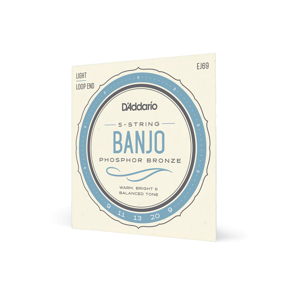 D'Addario EJ69 5-String Banjo Strings, Phosphor Bronze Light, 9-20