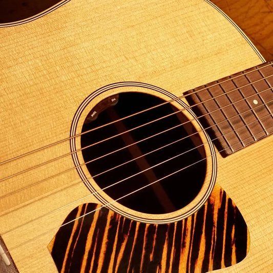 L.R. Baggs Element - VTC Preamp (Nylon/Classical Guitar)