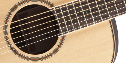 Takamine GY93E Natural