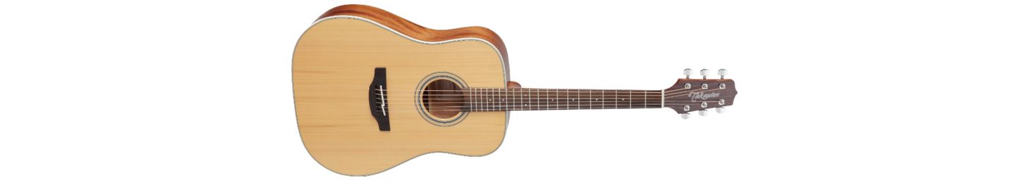 Takamine GD20 Natural Satin