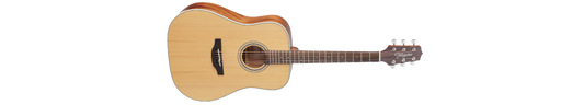 Takamine GD20 Natural Satin