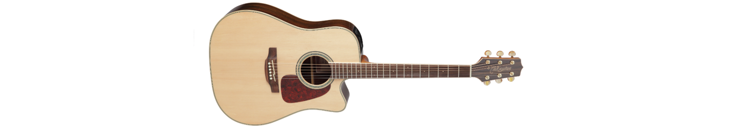 Takamine GD71CE Natural