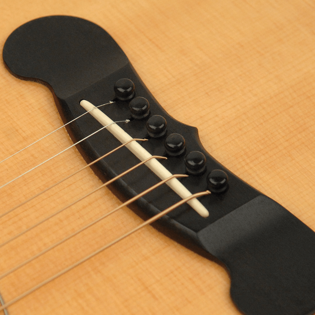 PWPS1  D'Addario Ebony Bridge Pins with End Pin Set, Ebony