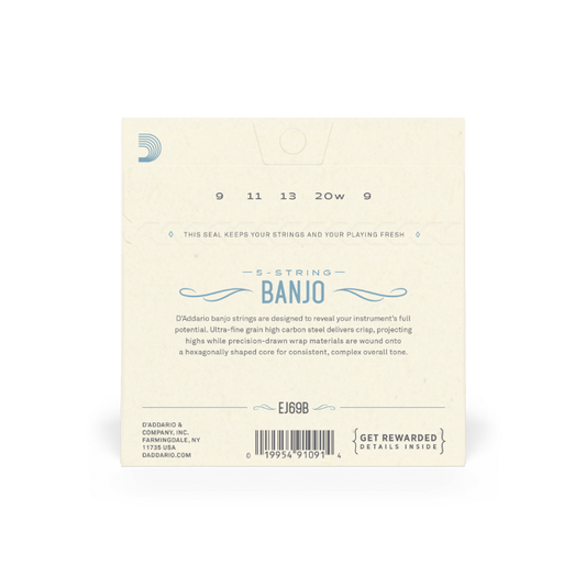 D'Addario EJ69B 5-String Ball-End Banjo Strings, Phosphor Bronze, Light, 9-20