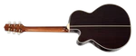 Takamine RNV460C