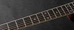 Takamine RNV460C